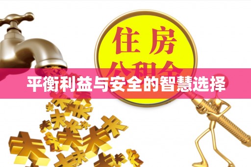 逊克平衡利益与安全的智慧选择
