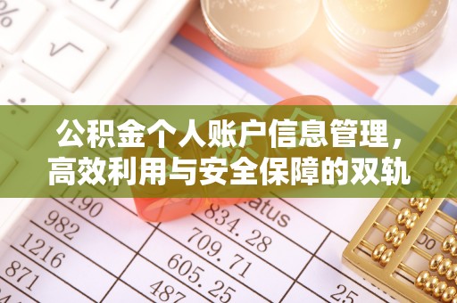 逊克公积金个人账户信息管理，高效利用与安全保障的双轨并行