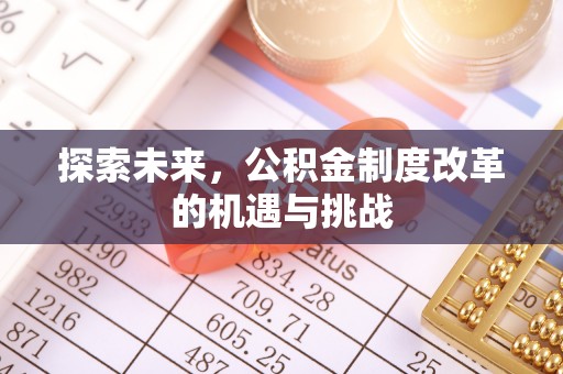 逊克探索未来，公积金制度改革的机遇与挑战