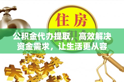 逊克公积金代办提取，高效解决资金需求，让生活更从容