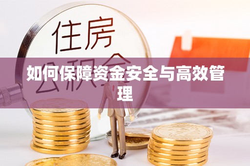 逊克如何保障资金安全与高效管理
