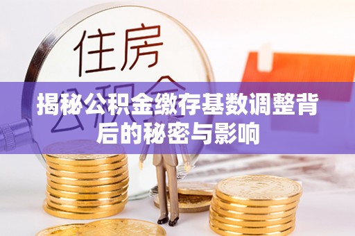 逊克揭秘公积金缴存基数调整背后的秘密与影响