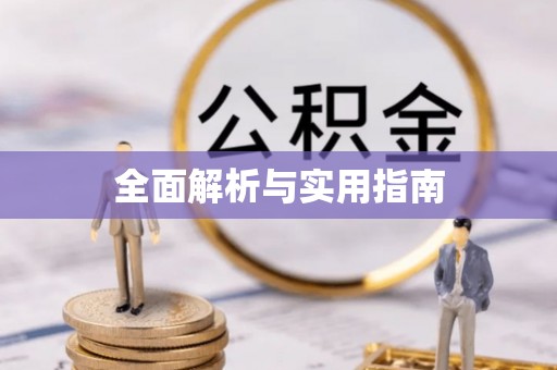 逊克全面解析与实用指南