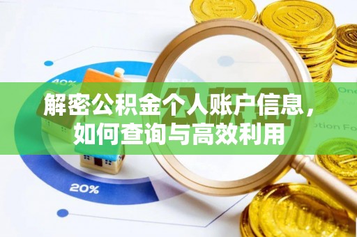 逊克解密公积金个人账户信息，如何查询与高效利用