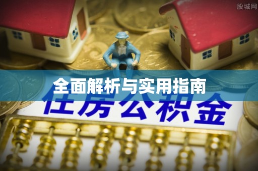 逊克全面解析与实用指南