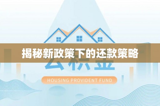 逊克揭秘新政策下的还款策略