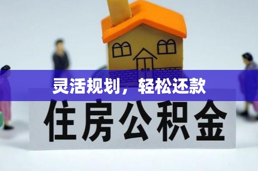 逊克灵活规划，轻松还款