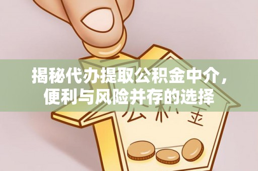 逊克揭秘代办提取公积金中介，便利与风险并存的选择