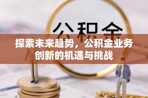 逊克探索未来趋势，公积金业务创新的机遇与挑战