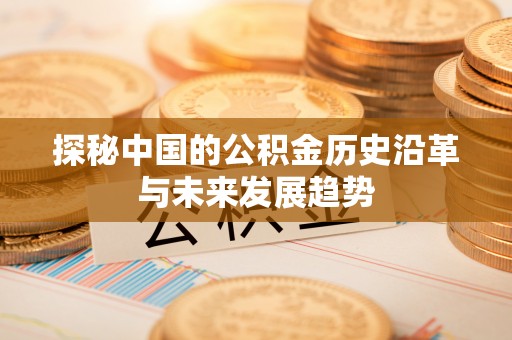 逊克探秘中国的公积金历史沿革与未来发展趋势