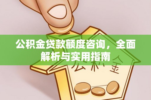 逊克公积金贷款额度咨询，全面解析与实用指南