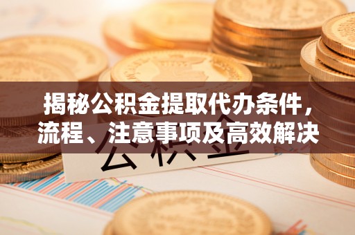 逊克揭秘公积金提取代办条件，流程、注意事项及高效解决方案