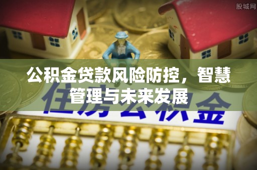 逊克公积金贷款风险防控，智慧管理与未来发展