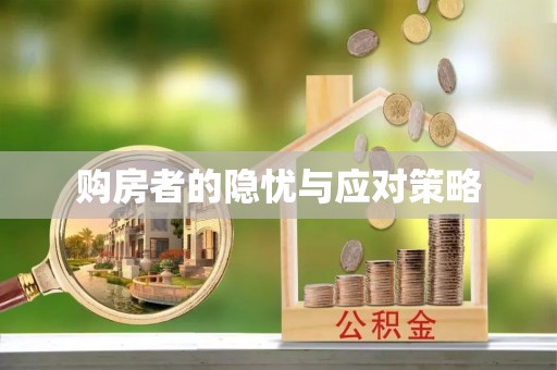 逊克购房者的隐忧与应对策略