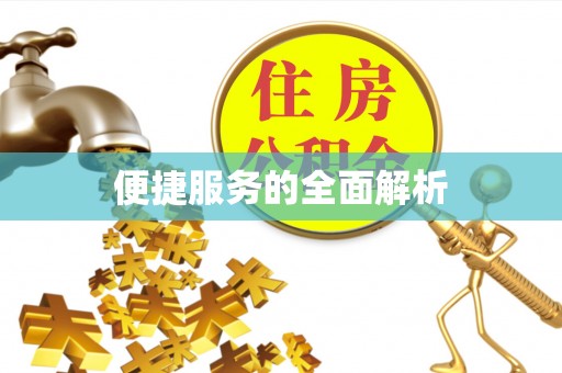 逊克便捷服务的全面解析