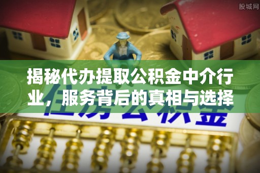 逊克揭秘代办提取公积金中介行业，服务背后的真相与选择指南