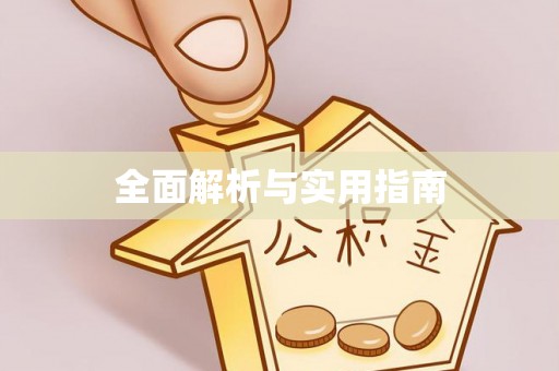 逊克全面解析与实用指南