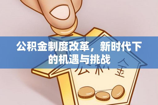 逊克公积金制度改革，新时代下的机遇与挑战