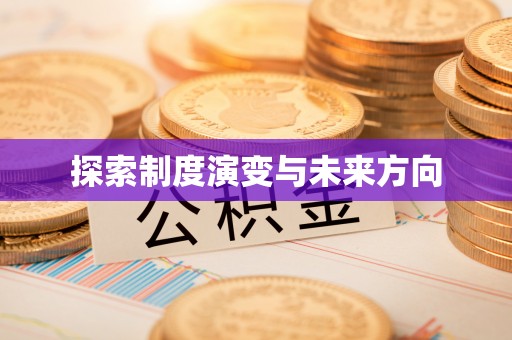 逊克探索制度演变与未来方向