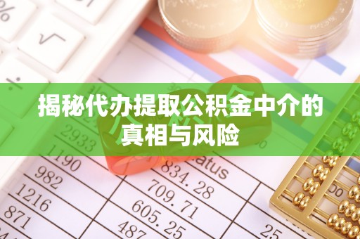 逊克揭秘代办提取公积金中介的真相与风险