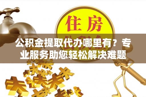 逊克公积金提取代办哪里有？专业服务助您轻松解决难题
