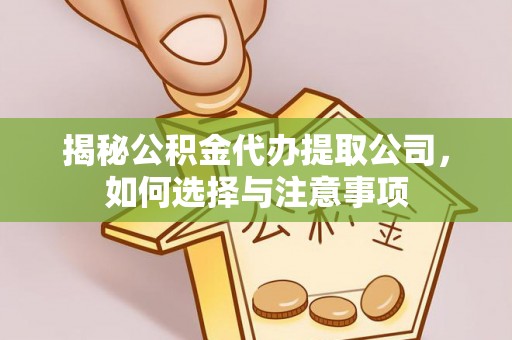 逊克揭秘公积金代办提取公司，如何选择与注意事项