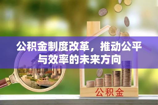 逊克公积金制度改革，推动公平与效率的未来方向
