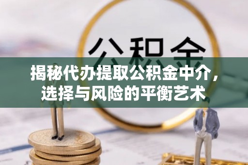 逊克揭秘代办提取公积金中介，选择与风险的平衡艺术