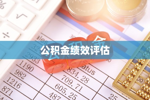 逊克公积金绩效评估