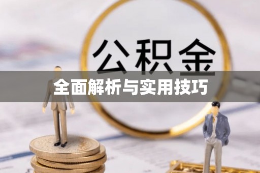 逊克全面解析与实用技巧