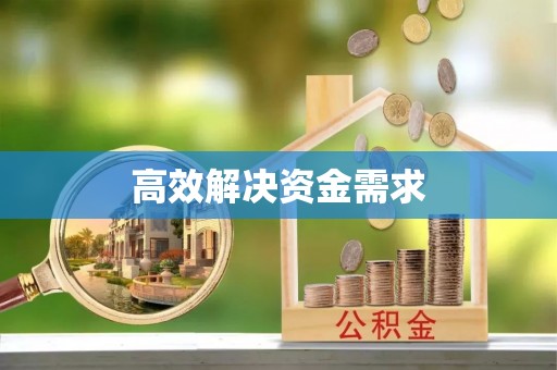 逊克高效解决资金需求