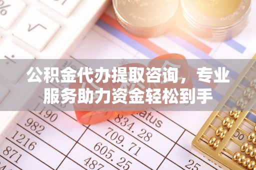 逊克公积金代办提取咨询，专业服务助力资金轻松到手