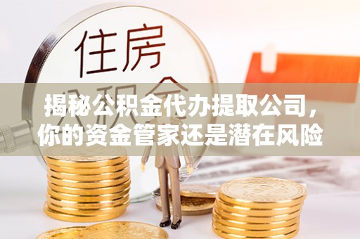 逊克揭秘公积金代办提取公司，你的资金管家还是潜在风险？