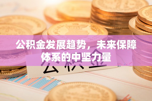逊克公积金发展趋势，未来保障体系的中坚力量