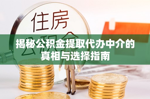逊克揭秘公积金提取代办中介的真相与选择指南