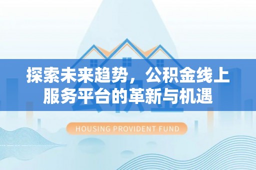 逊克探索未来趋势，公积金线上服务平台的革新与机遇