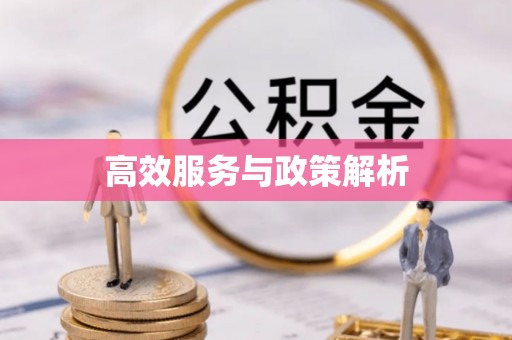 逊克高效服务与政策解析