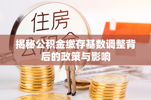 逊克揭秘公积金缴存基数调整背后的政策与影响