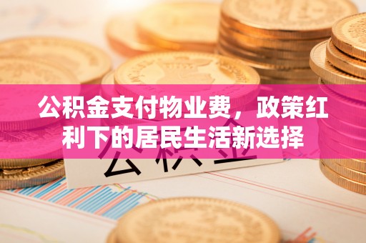 逊克公积金支付物业费，政策红利下的居民生活新选择