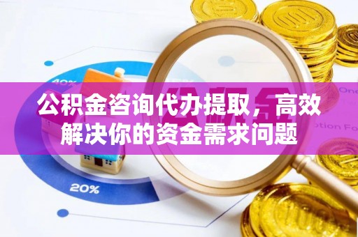 逊克公积金咨询代办提取，高效解决你的资金需求问题