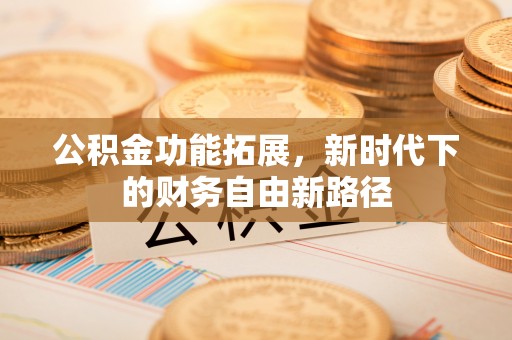 逊克公积金功能拓展，新时代下的财务自由新路径