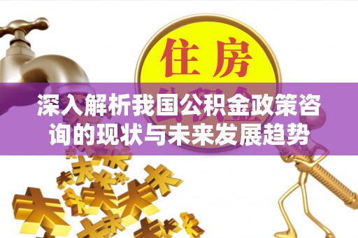 逊克深入解析我国公积金政策咨询的现状与未来发展趋势
