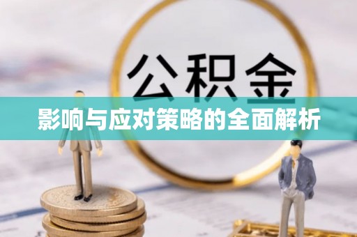 逊克影响与应对策略的全面解析