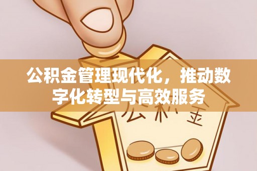 逊克公积金管理现代化，推动数字化转型与高效服务