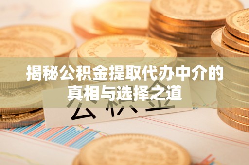 逊克揭秘公积金提取代办中介的真相与选择之道