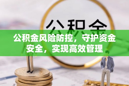 逊克公积金风险防控，守护资金安全，实现高效管理