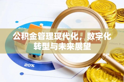 逊克公积金管理现代化，数字化转型与未来展望