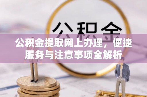 逊克公积金提取网上办理，便捷服务与注意事项全解析