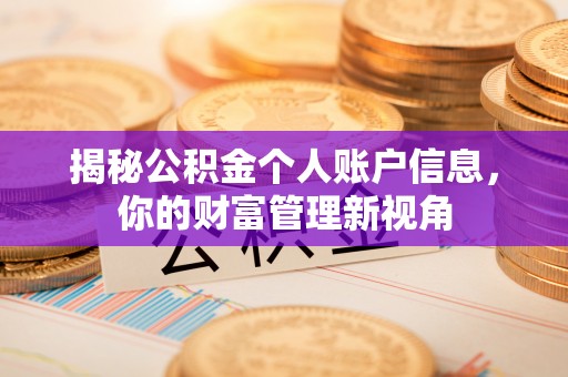 逊克揭秘公积金个人账户信息，你的财富管理新视角