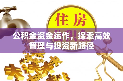逊克公积金资金运作，探索高效管理与投资新路径